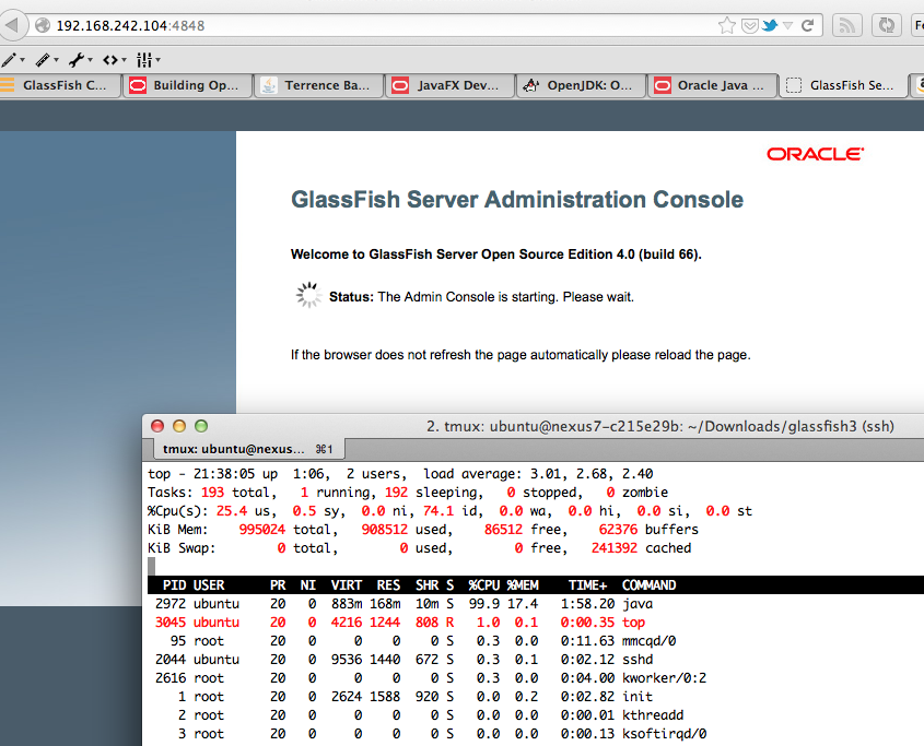 Screenshot of GlassFish admin console called from Firefox on my Mac and output of top command on the Nexus7